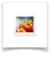 icon-image-creative-48.jpg
