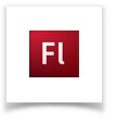 icon-flash-creative-48.jpg